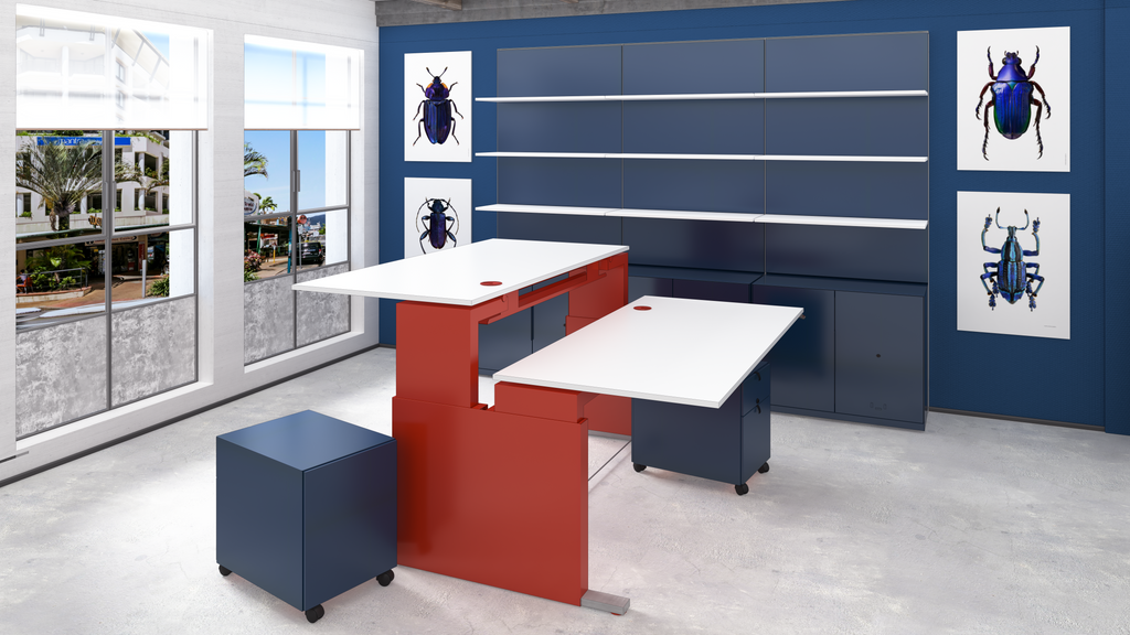 TE Double Sided Desk