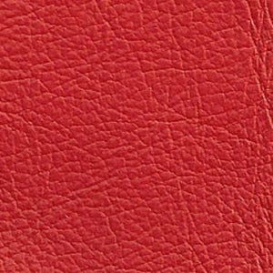 Red Leather